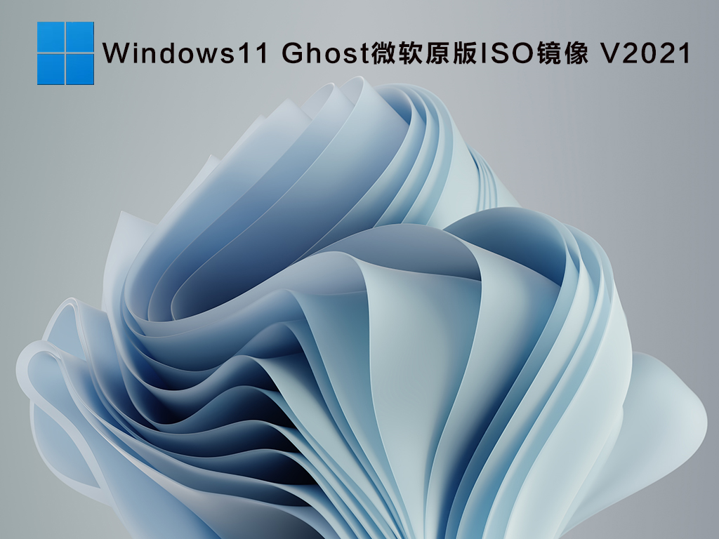 Windows11